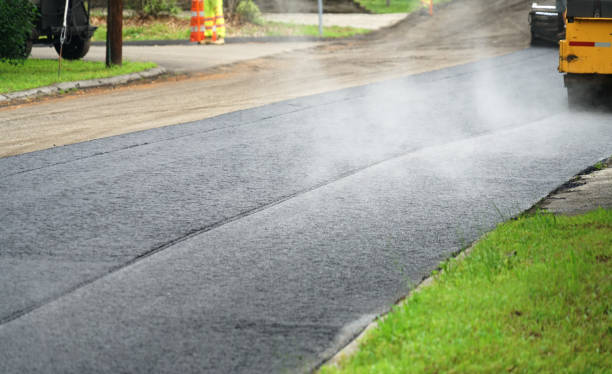 Best Custom Driveway Pavers  in Dove Valley, CO
